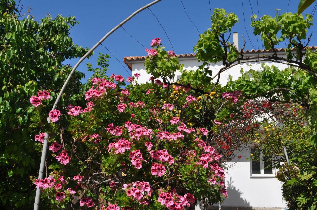 B&B Les Chambres Rooms & Suite Santa Teresa Gallura Zewnętrze zdjęcie